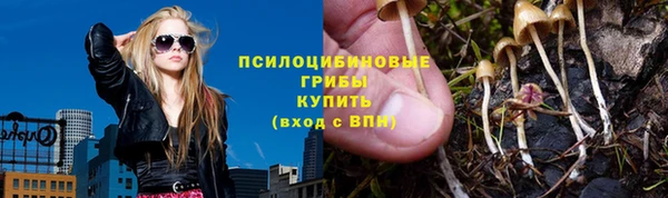 гидропоника Лиски