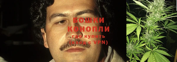гидра Лихославль