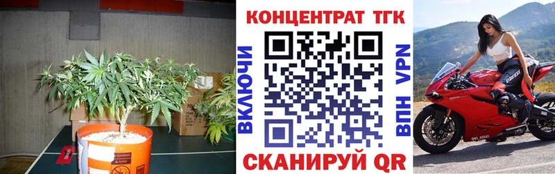 Дистиллят ТГК концентрат  Купить  Чегем 
