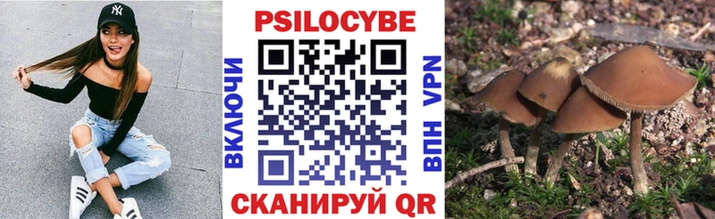 Купить закладки  Чегем  Галлюциногенные грибы Magic Shrooms 