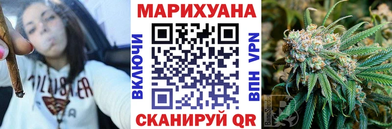 Купить закладки  Чегем  Каннабис индика 
